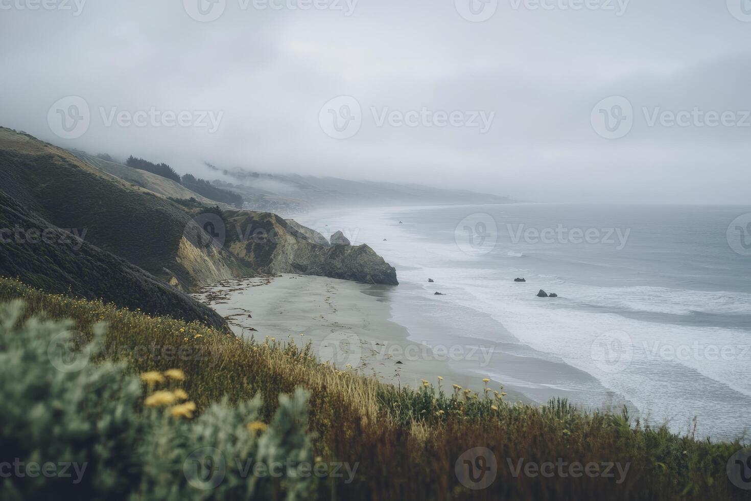 A view of the ocean and cliffs from a hill photo