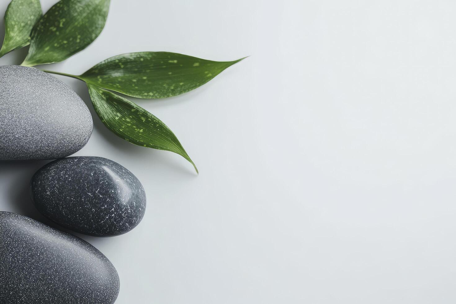 Spa stones with green leaves on white background photo