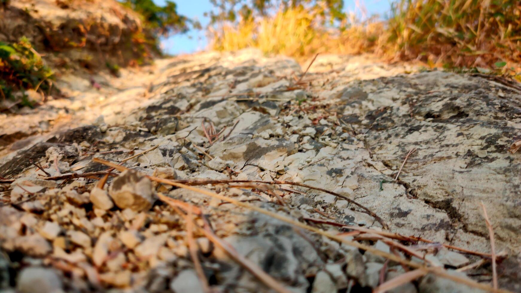 Footpath in the park with grass and rocks in autumn season. photo