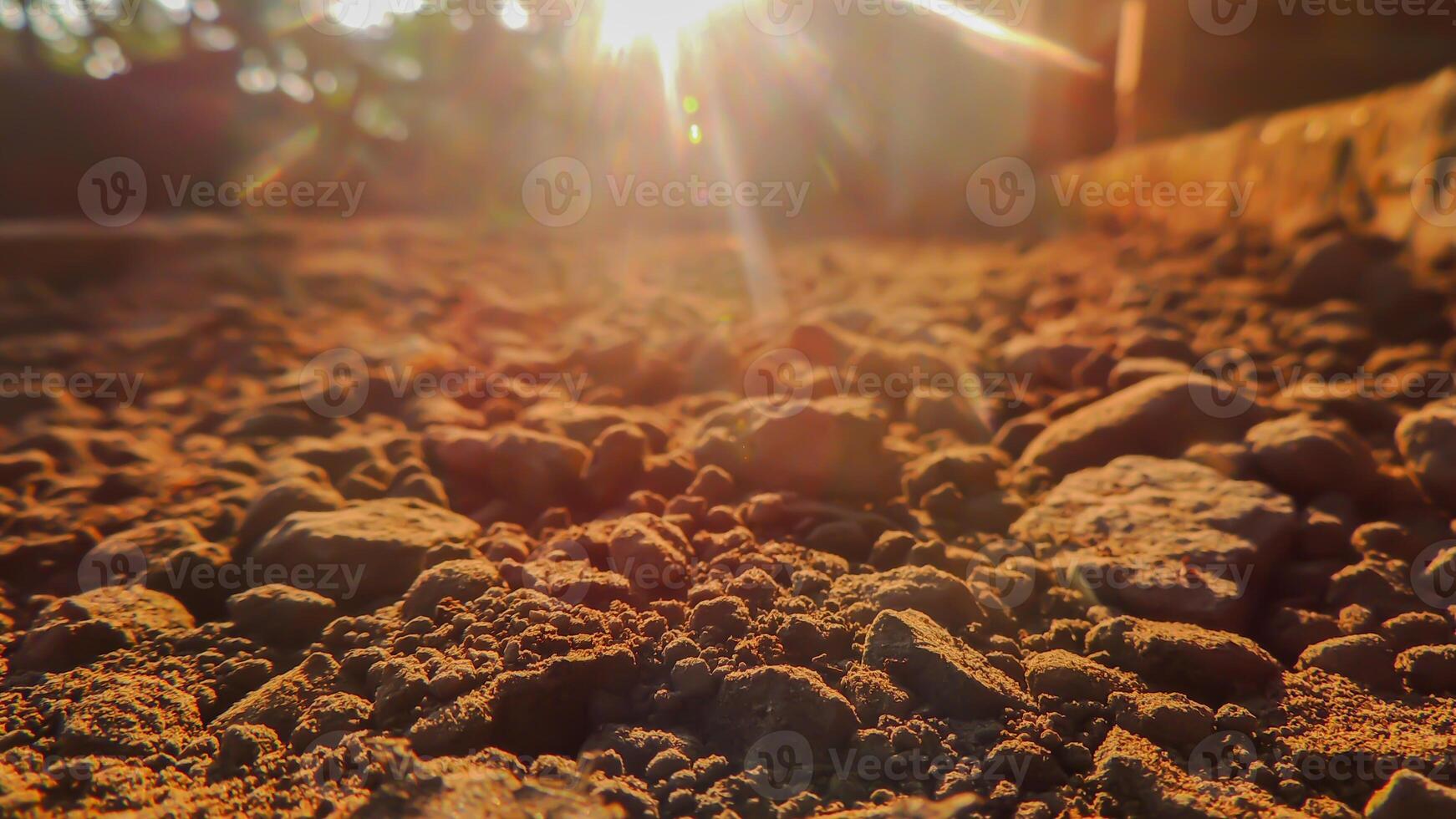 A close up of dirt and rocks photo