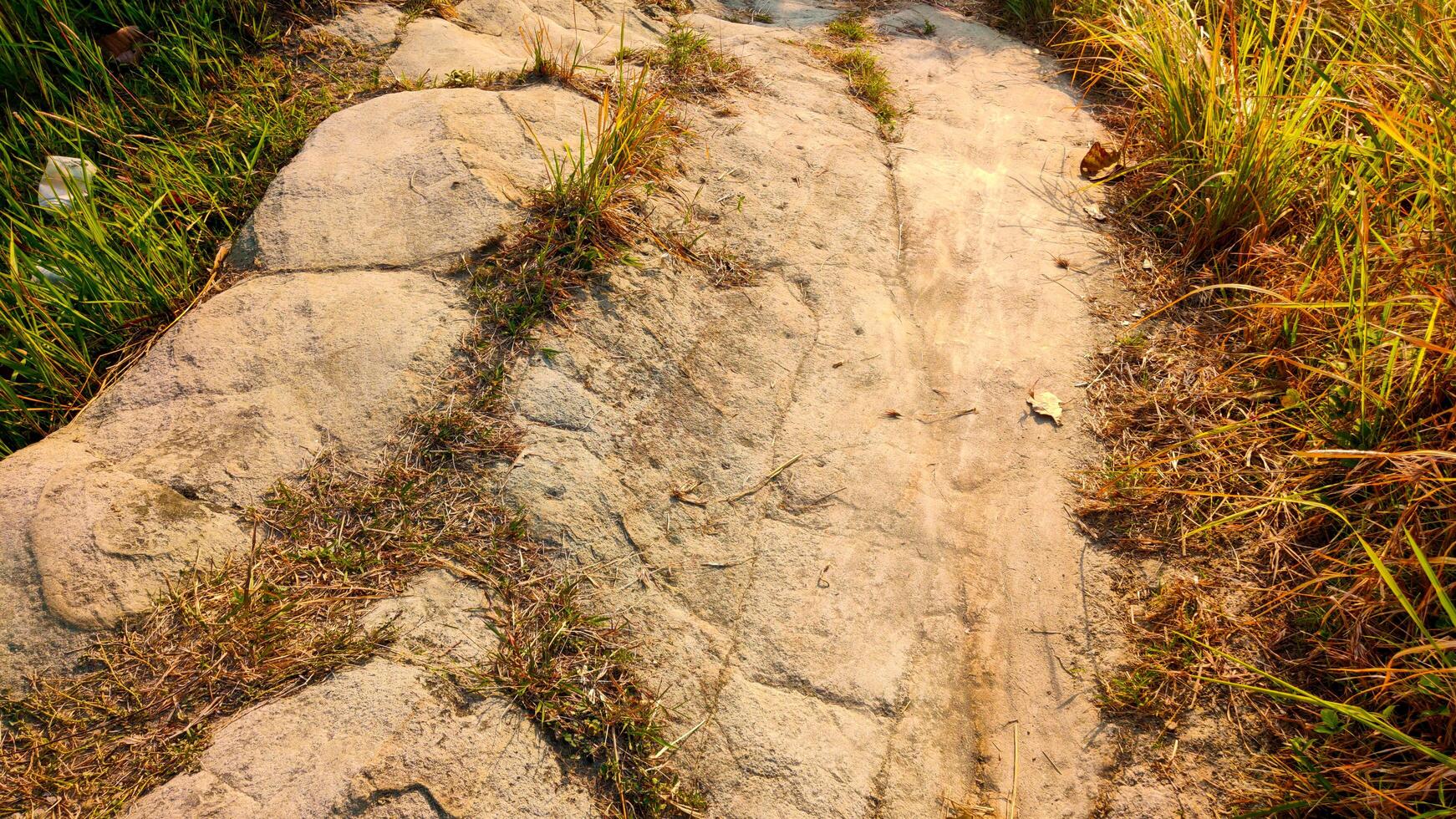 Footpath in the park with grass and rocks in autumn season. photo