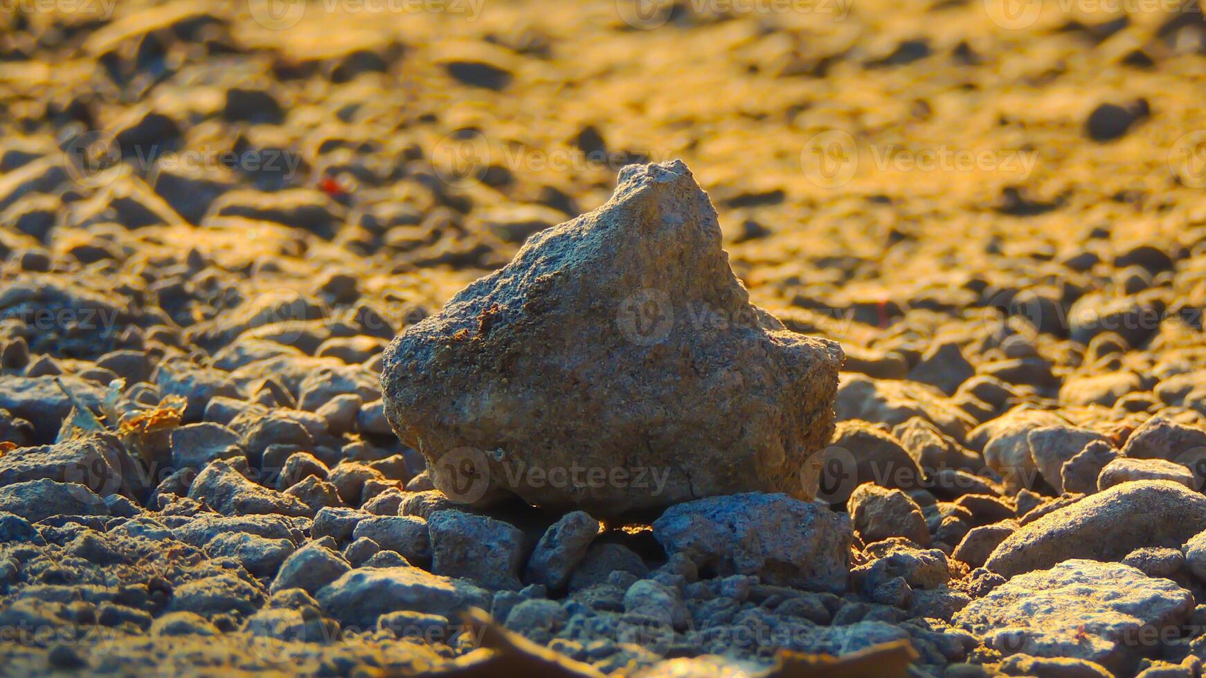 A rock sitting on the ground in the middle of a field photo