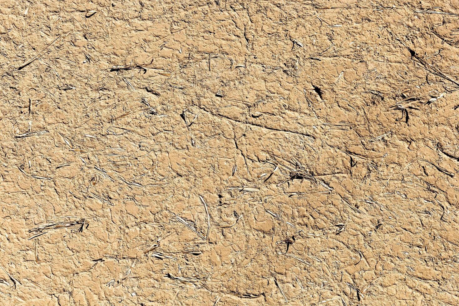 Textured plaster background to create a background or textures for the design photo
