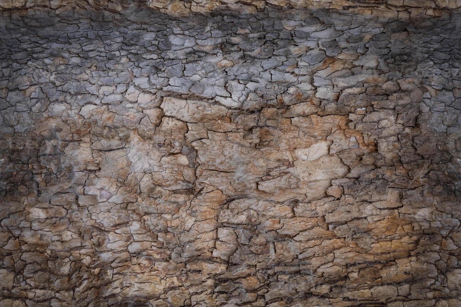 Granular material, solid wood with a structural surface for design textures. Grunge panel with rough coating photo