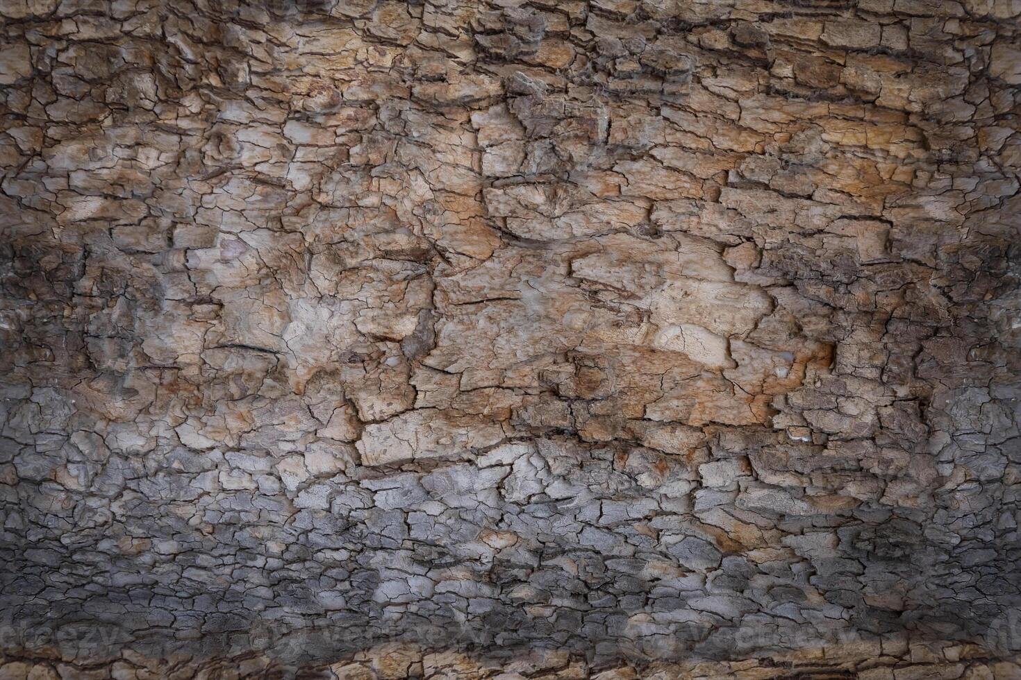 Granular material, solid wood with a structural surface for design textures. Grunge panel with rough coating photo