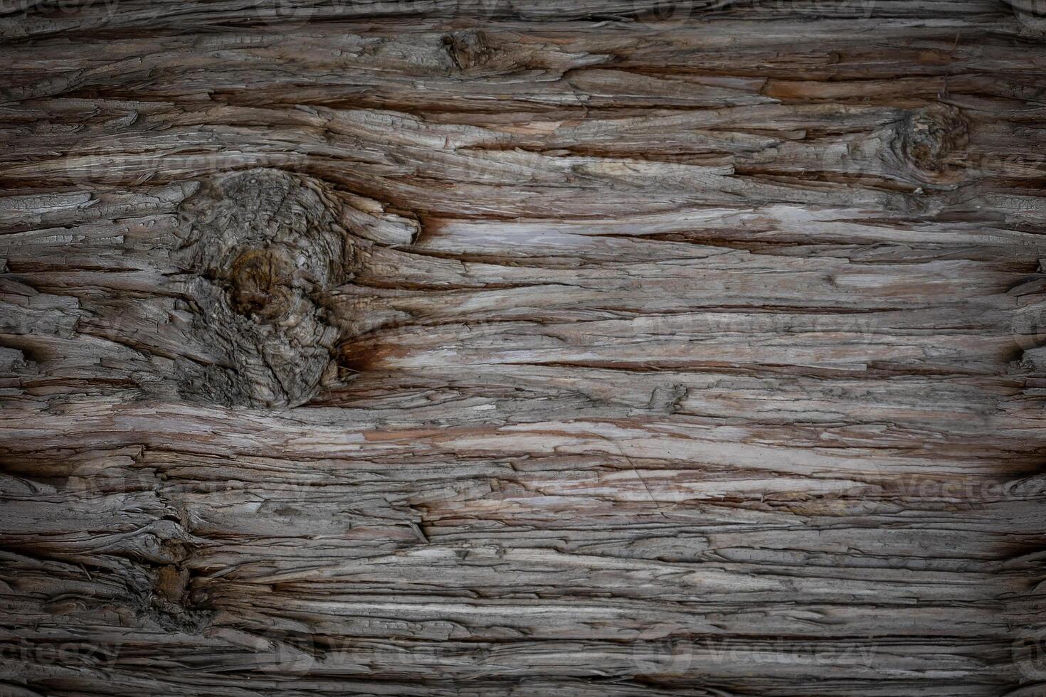Granular material, solid wood with a structural surface for design textures. Grunge panel with rough coating photo