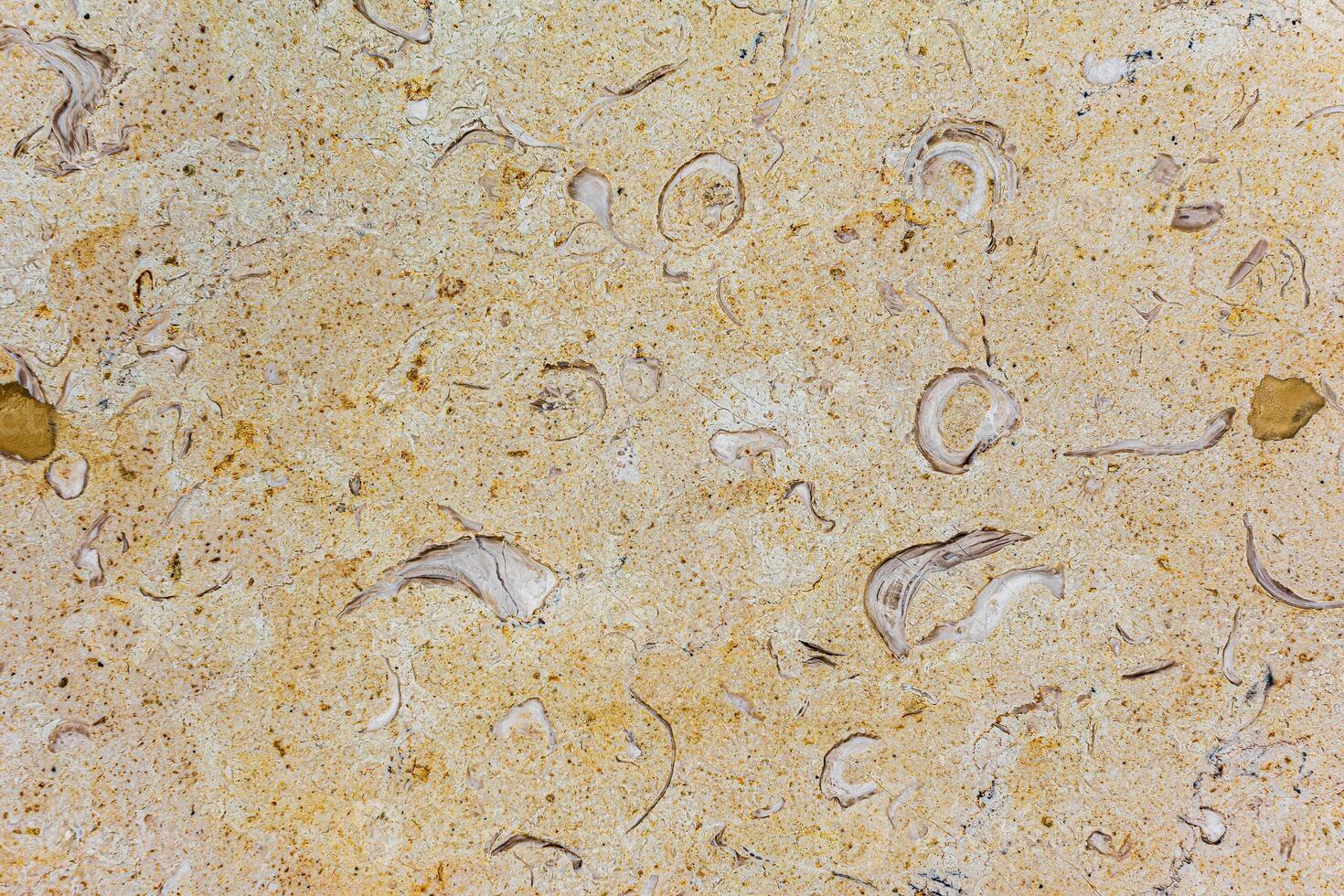 Photo Stone veined pattern useful as a background or texture