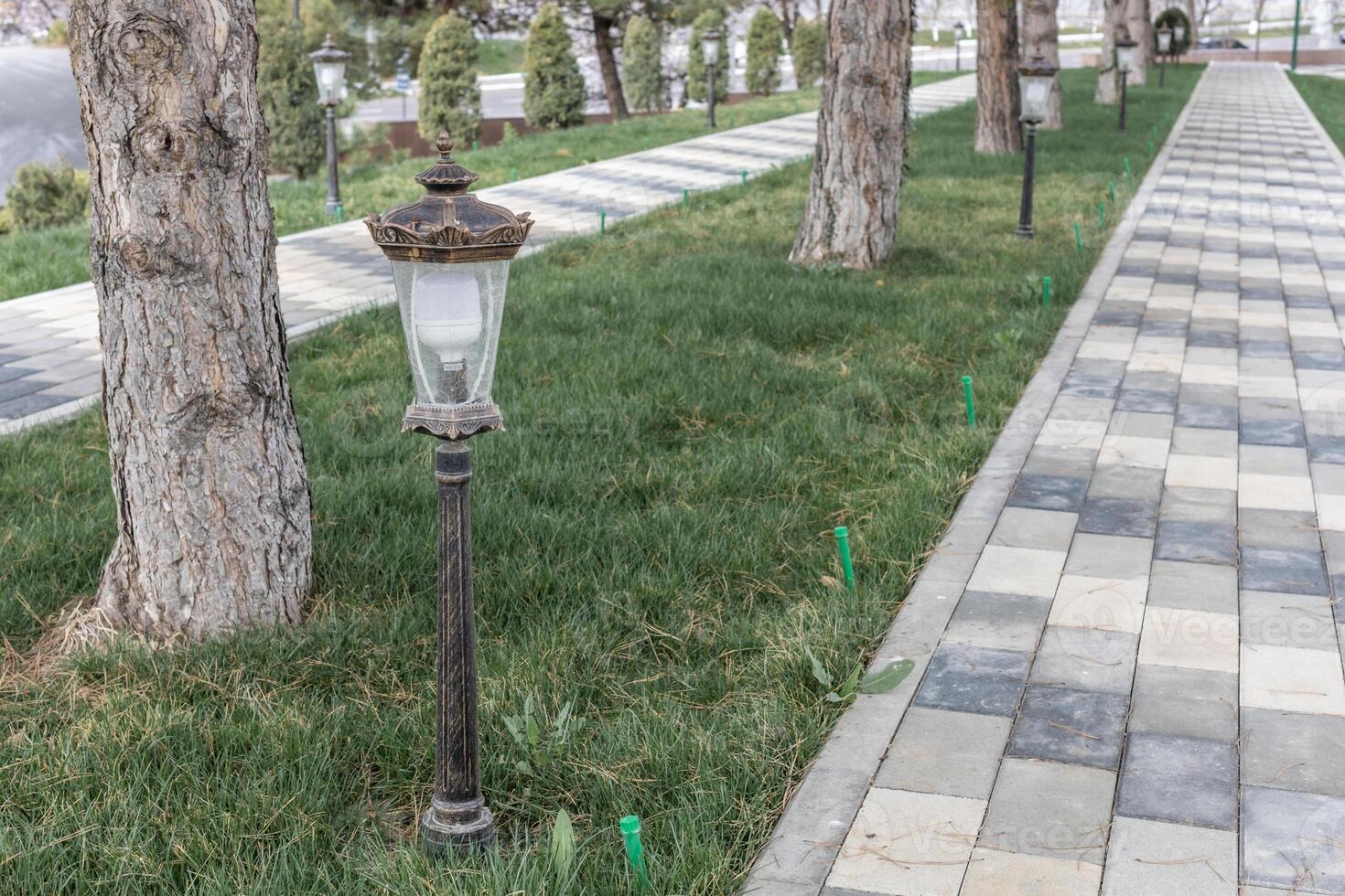 Theme for landscape design photo