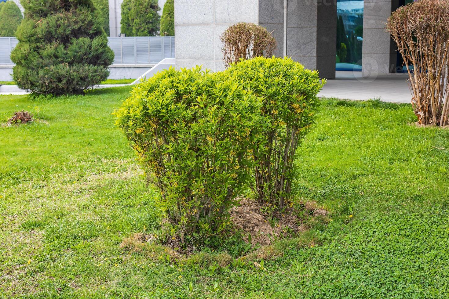Theme for landscape design photo