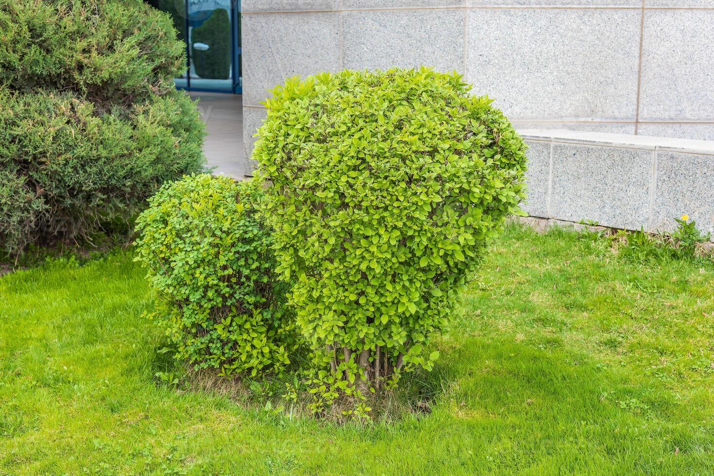 Theme for landscape design photo