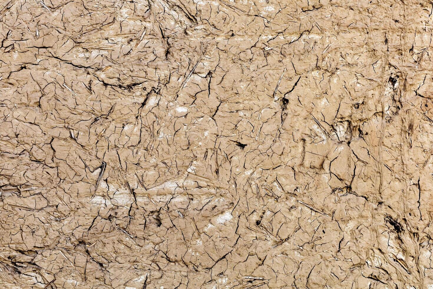 Textured plaster background to create a background or textures for the design photo