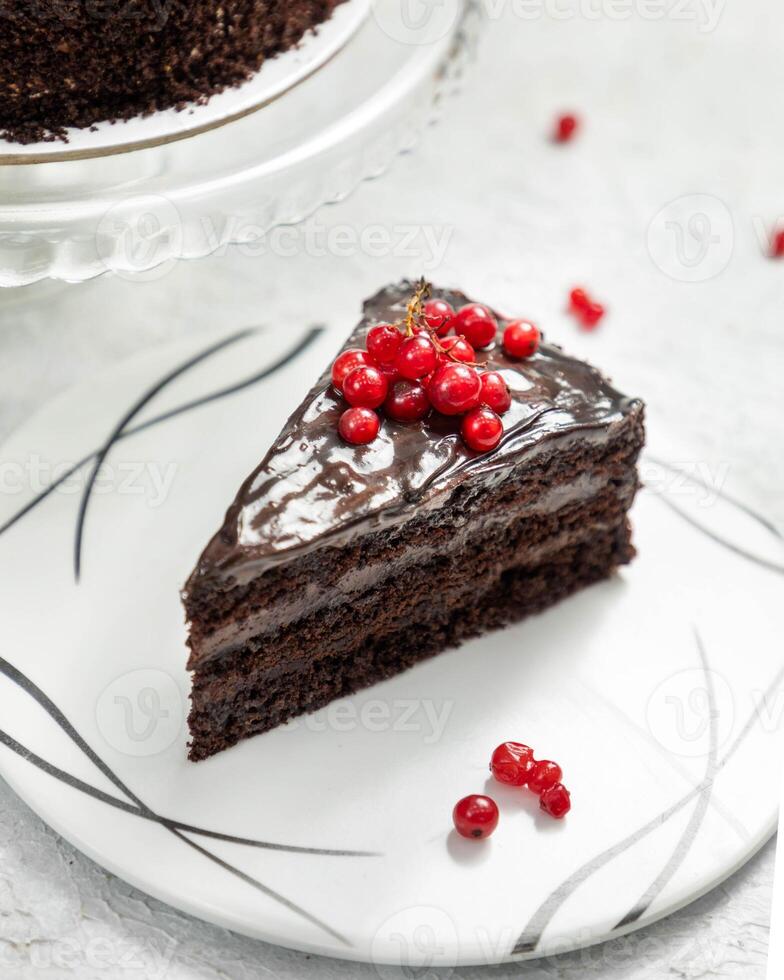 Chocolate cake slice with chocolate ganache and red currant on white plate photo