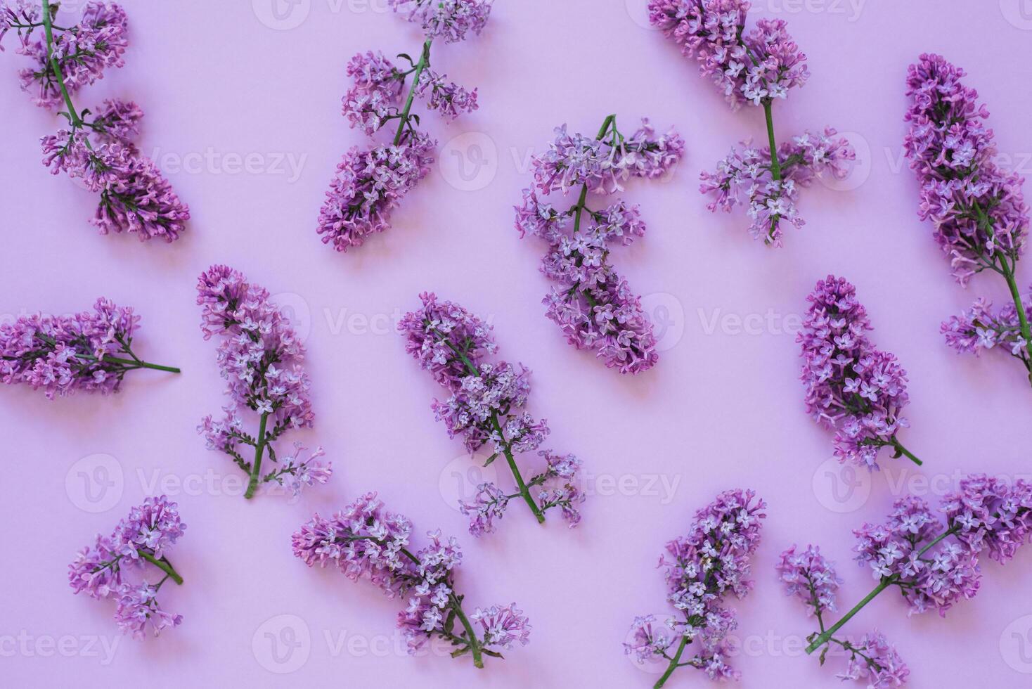 Composition of flowers. Lilac flowers on a solid background. Concept of Mother's Day, Women's Day. Flat lay, top view photo