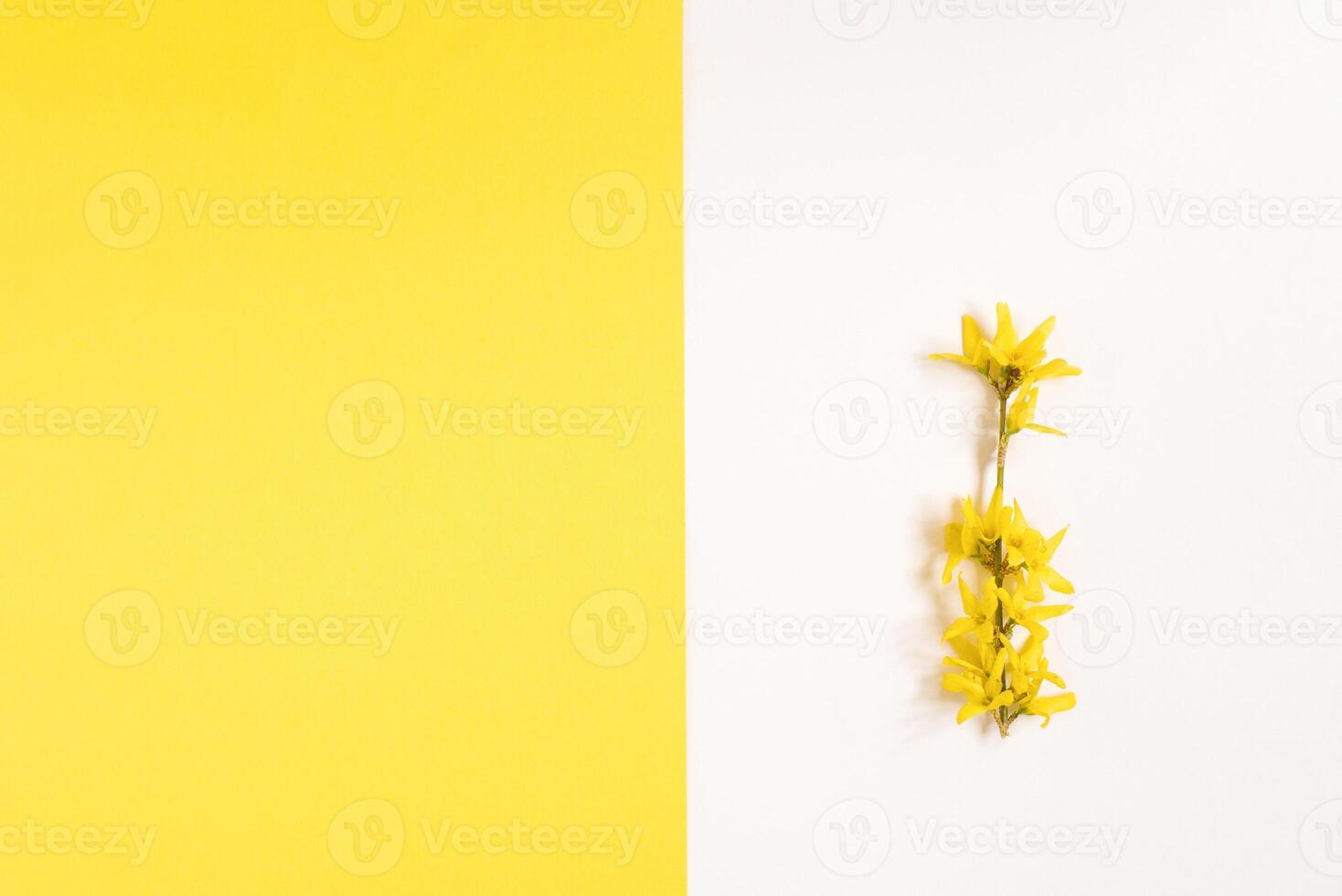 Creative greeting card for Easter or Mother's Day. A branch with apple blossoms on a white and yellow geometric background with a copy space photo