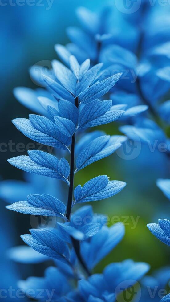 Close-up of blue leaves with detailed texture on a blurred green and blue background. Nature and foliage concept photo