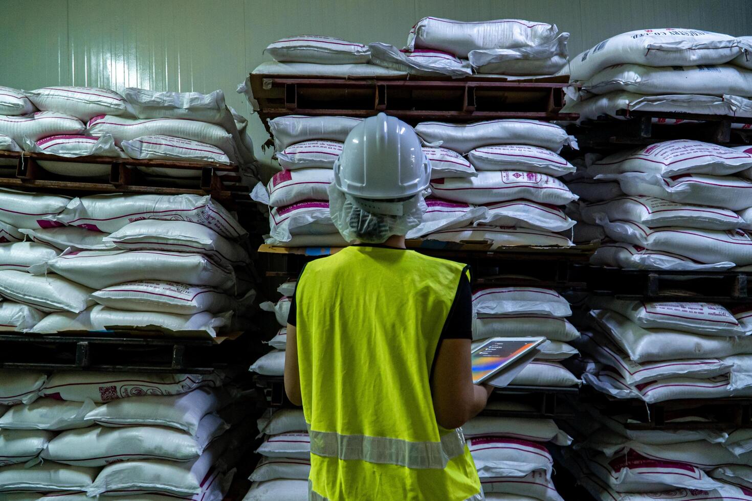 Female industrial engineer wearing a white helmet while standing in a heavy industrial factory photo