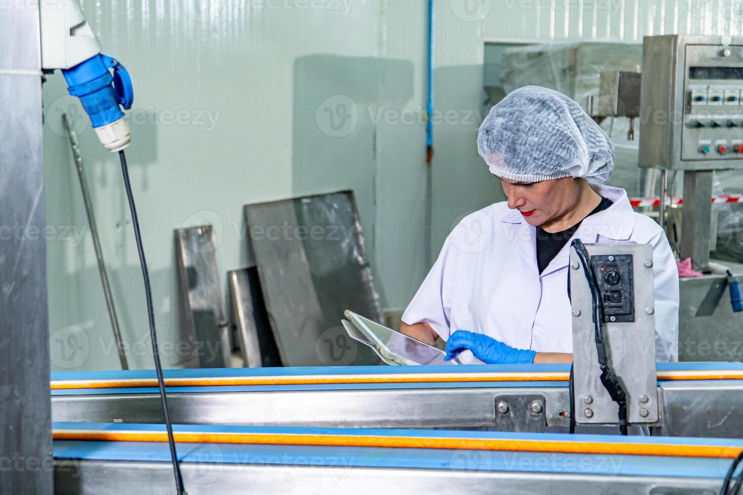 caucasion woman working in a food factory wearing protective clothes and gloves. photo