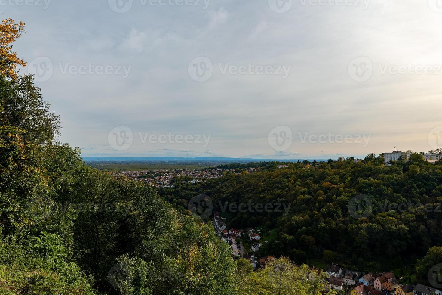 A view of a valley with trees in the foreground and a cityscape in the distance photo