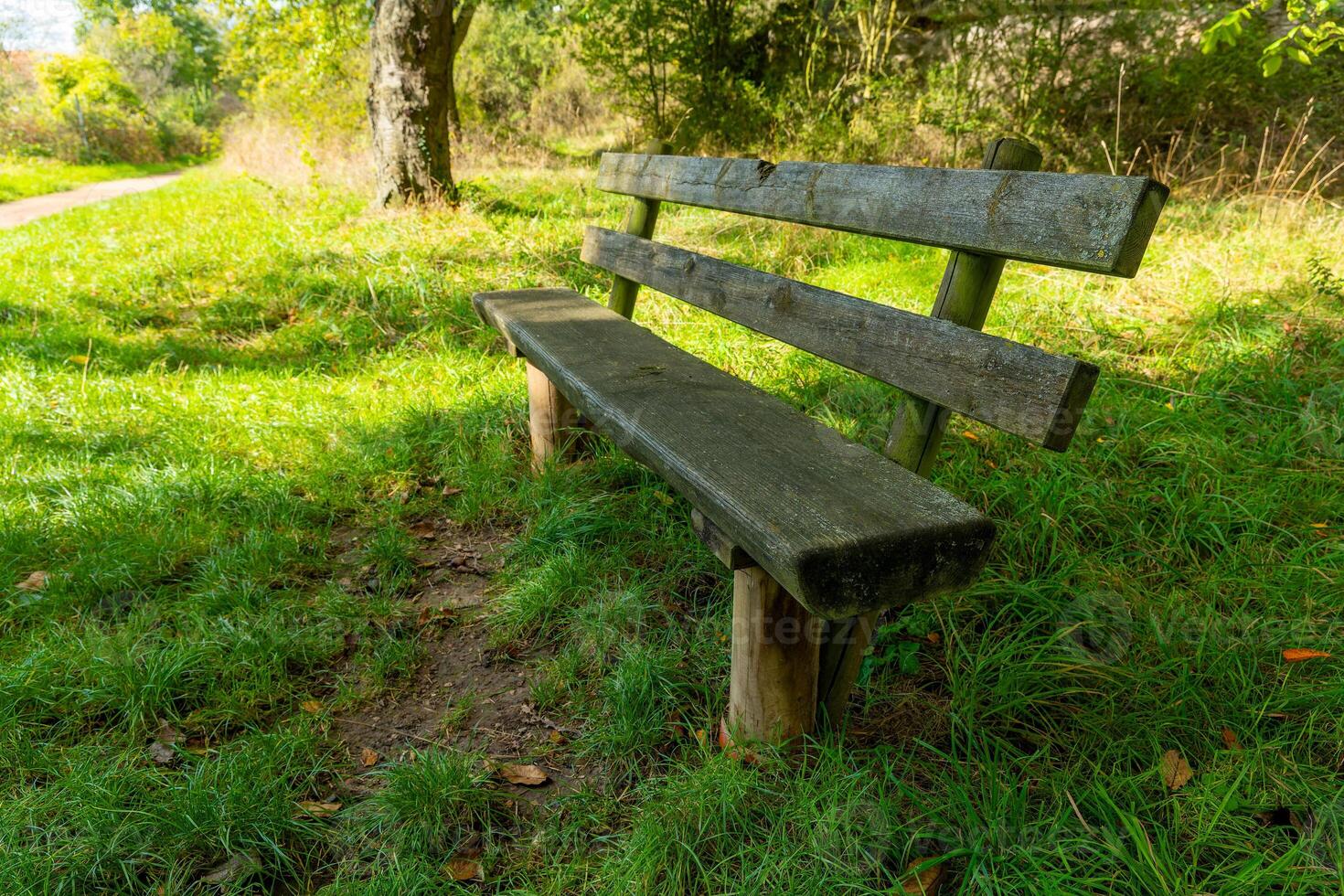 A wooden bench sits in a grassy field on a sunny day, near a path winding through the trees photo