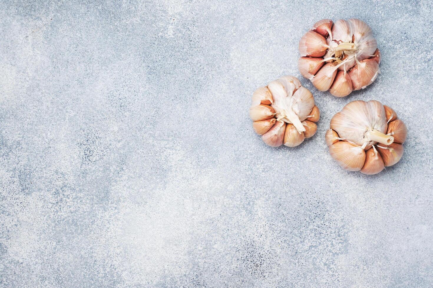 Whole garlic heads on a concrete grey background. Top view. Copy space. photo