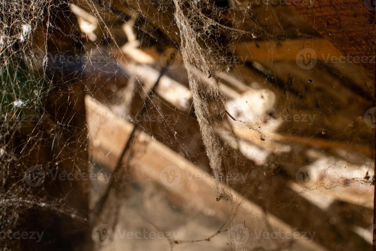 Close up of dusty cobwebs in an old wooden shed, symbolizing neglect and the need for spring cleaning photo
