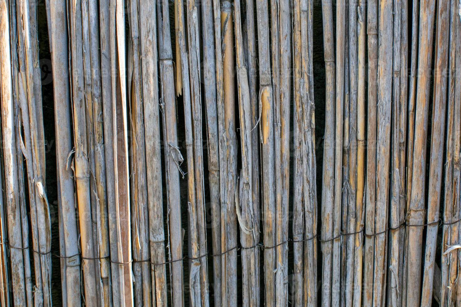 Close up of weathered bamboo sticks forming a natural fence, promoting eco friendly materials and sustainable living concepts photo