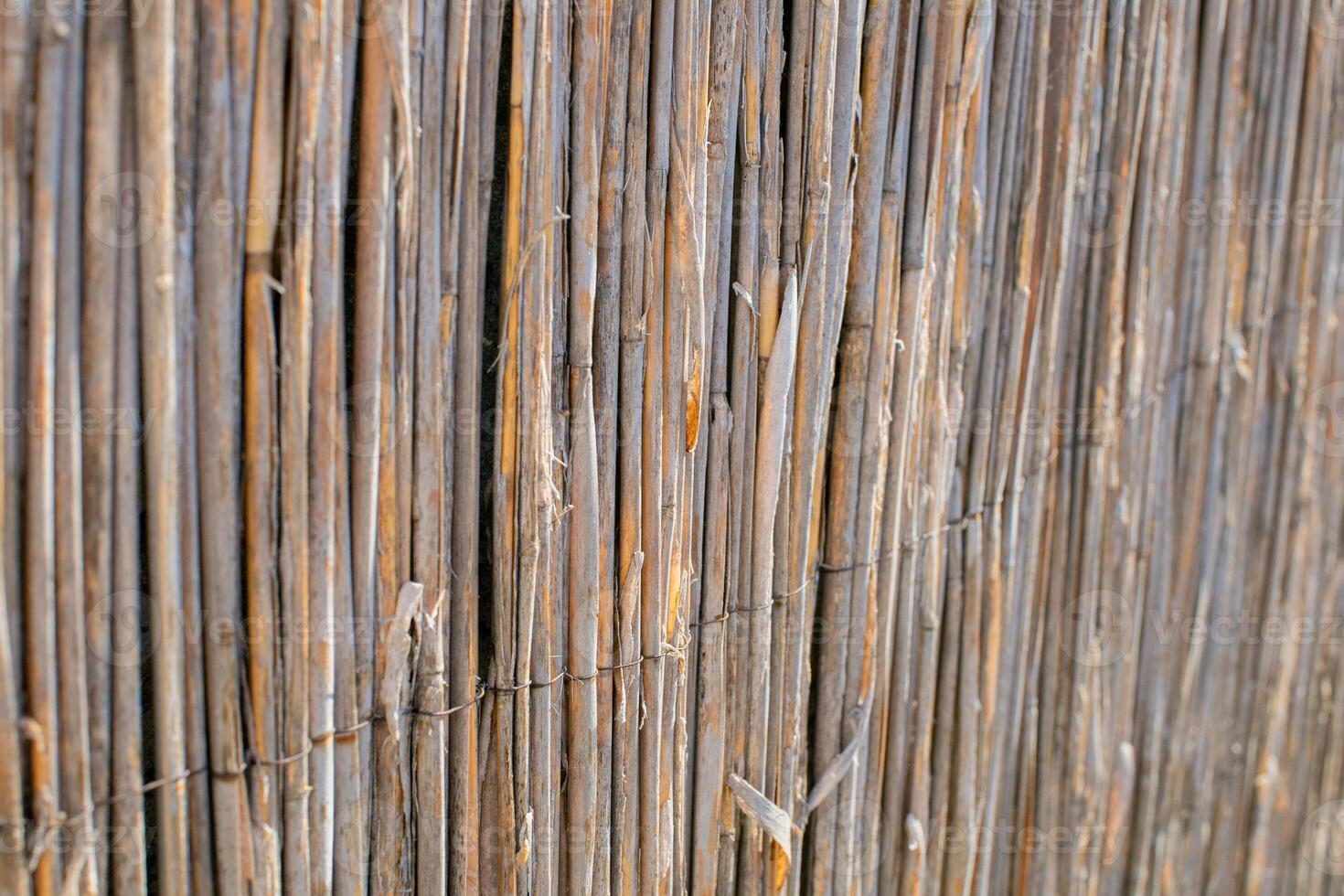 Close up of a rustic bamboo fence, representing eco friendly construction and privacy solutions photo