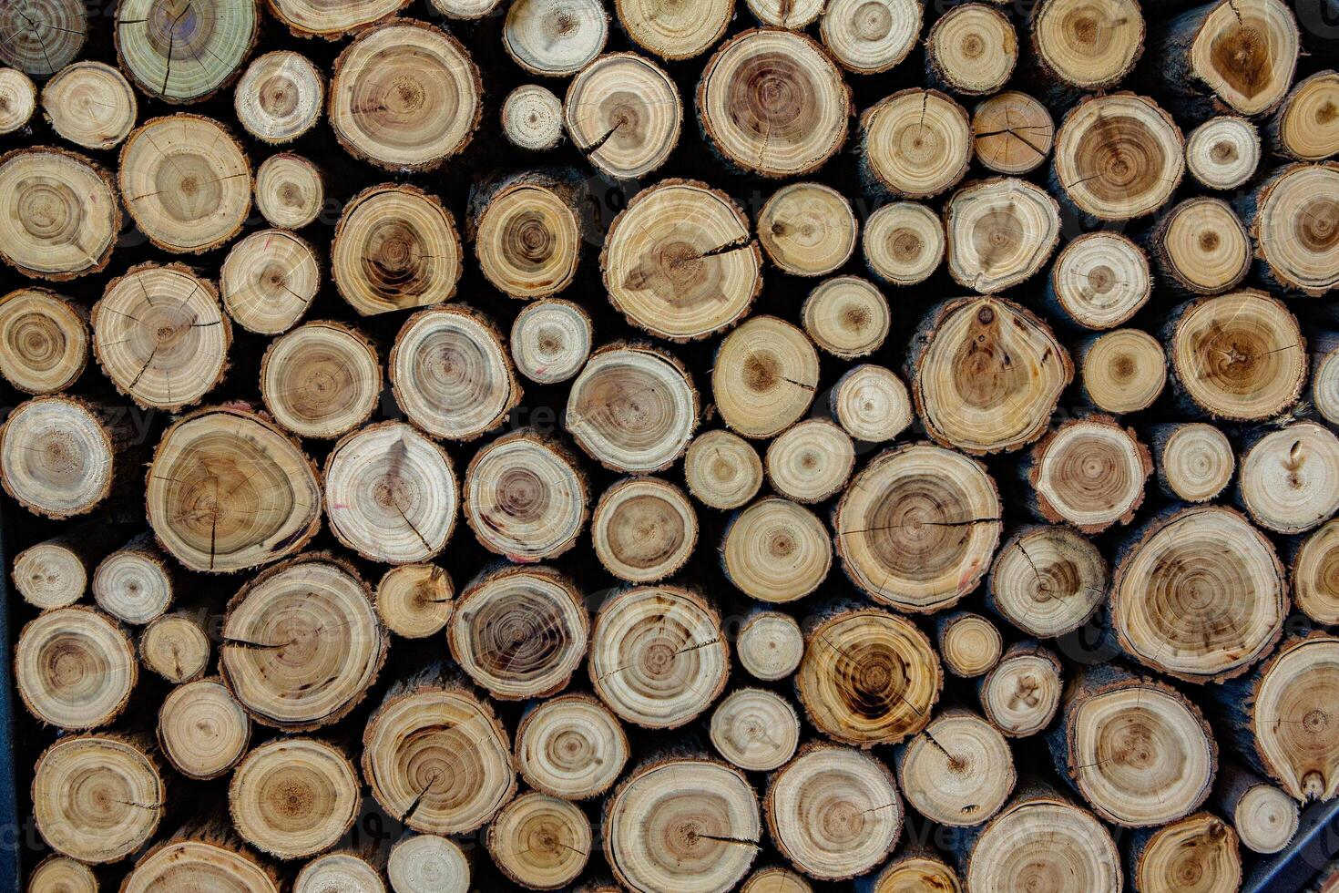 Pile of firewood in a forest. Background of wooden logs stacked in a pile. Wood texture. photo