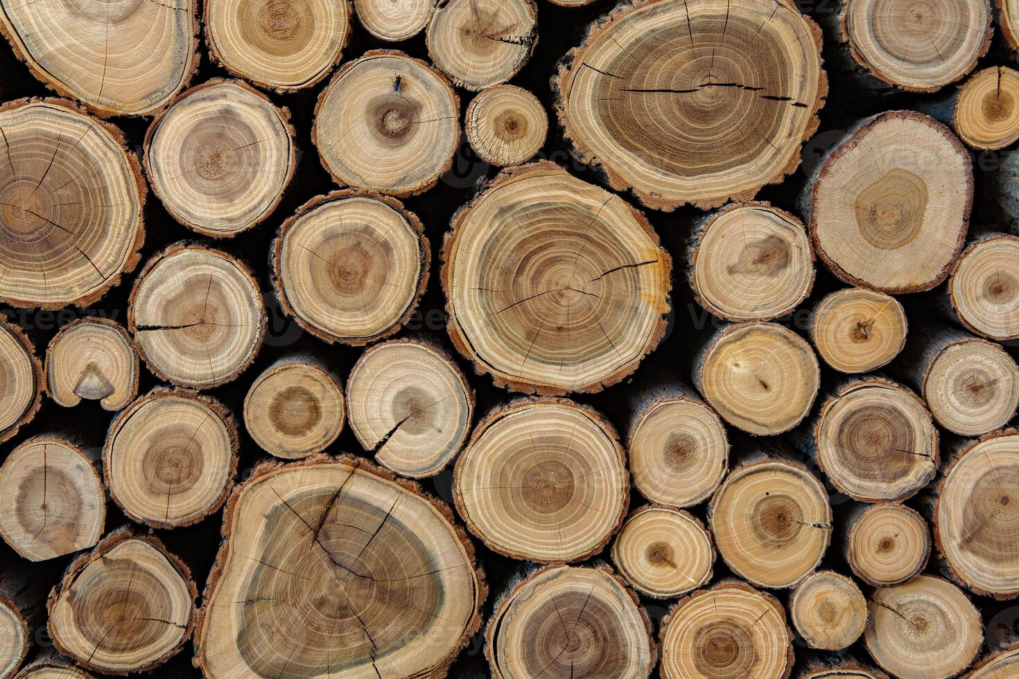 Pile of firewood in a forest. Background of wooden logs stacked in a pile. Wood texture. photo