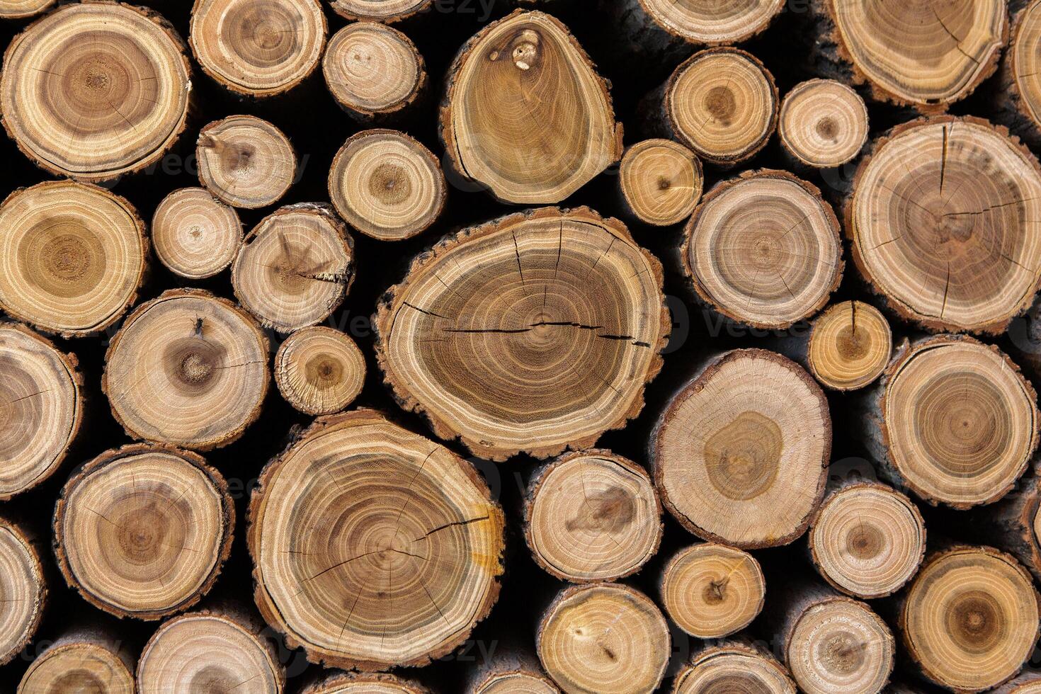 Pile of firewood in a forest. Background of wooden logs stacked in a pile. Wood texture. photo