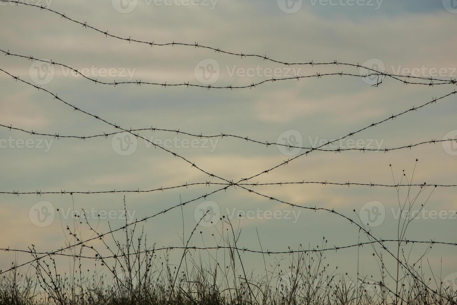 Photo with barbed wire as the symbol of the prison or the border fence.