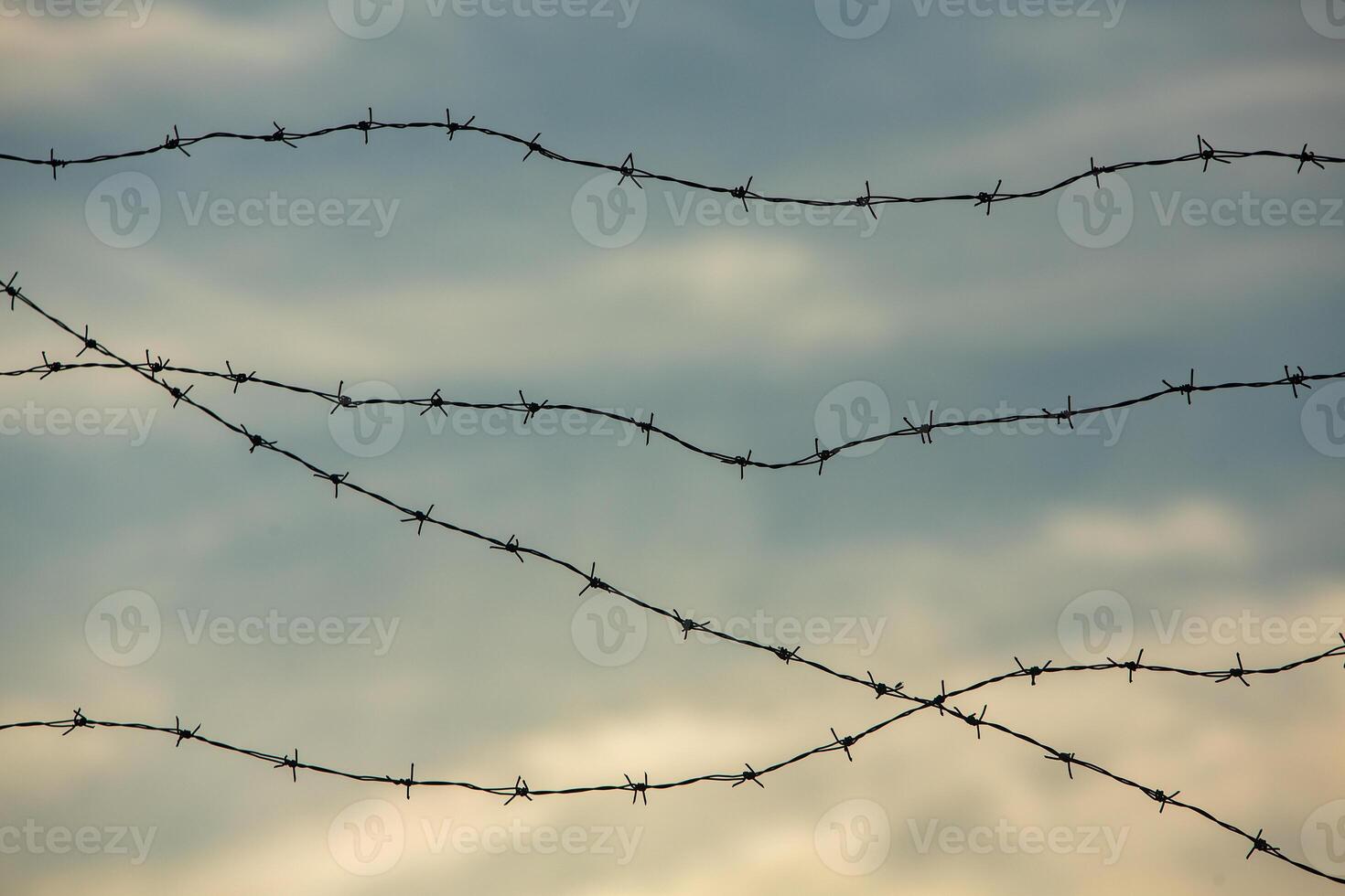 Photo with barbed wire as the symbol of the prison or the border fence.