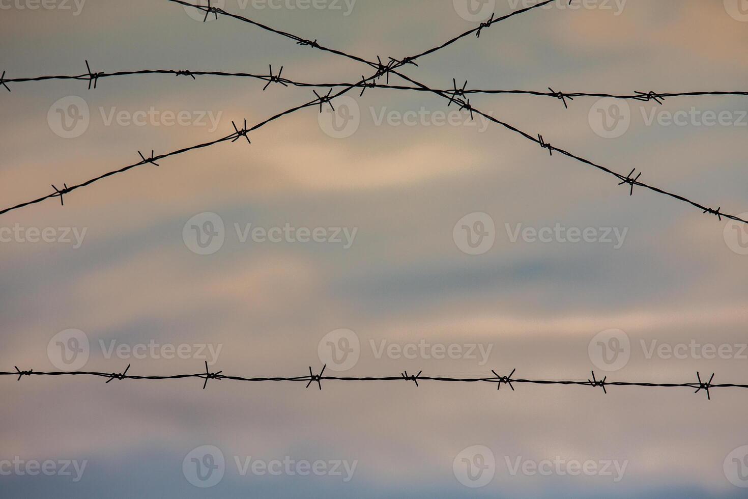 Photo with barbed wire as the symbol of the prison or the border fence.