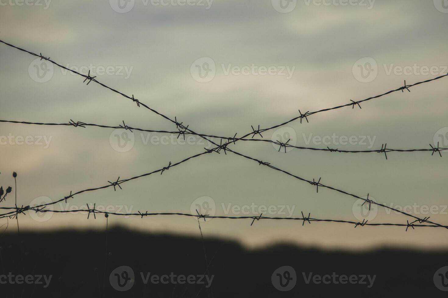 Photo with barbed wire as the symbol of the prison or the border fence.