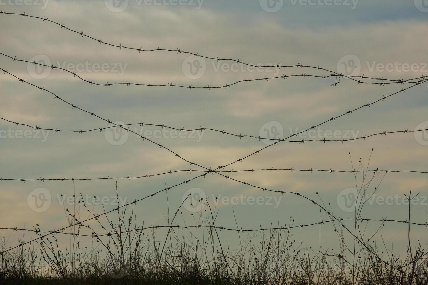 Photo with barbed wire as the symbol of the prison or the border fence.