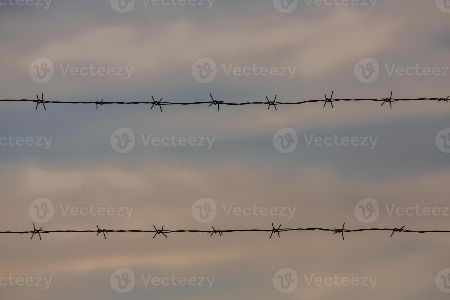 Photo with barbed wire as the symbol of the prison or the border fence.