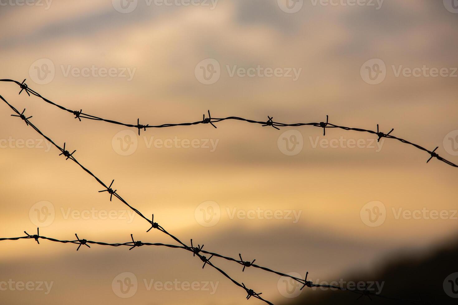Photo with barbed wire as the symbol of the prison or the border fence.