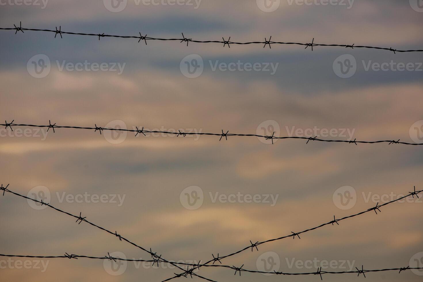 Photo with barbed wire as the symbol of the prison or the border fence.