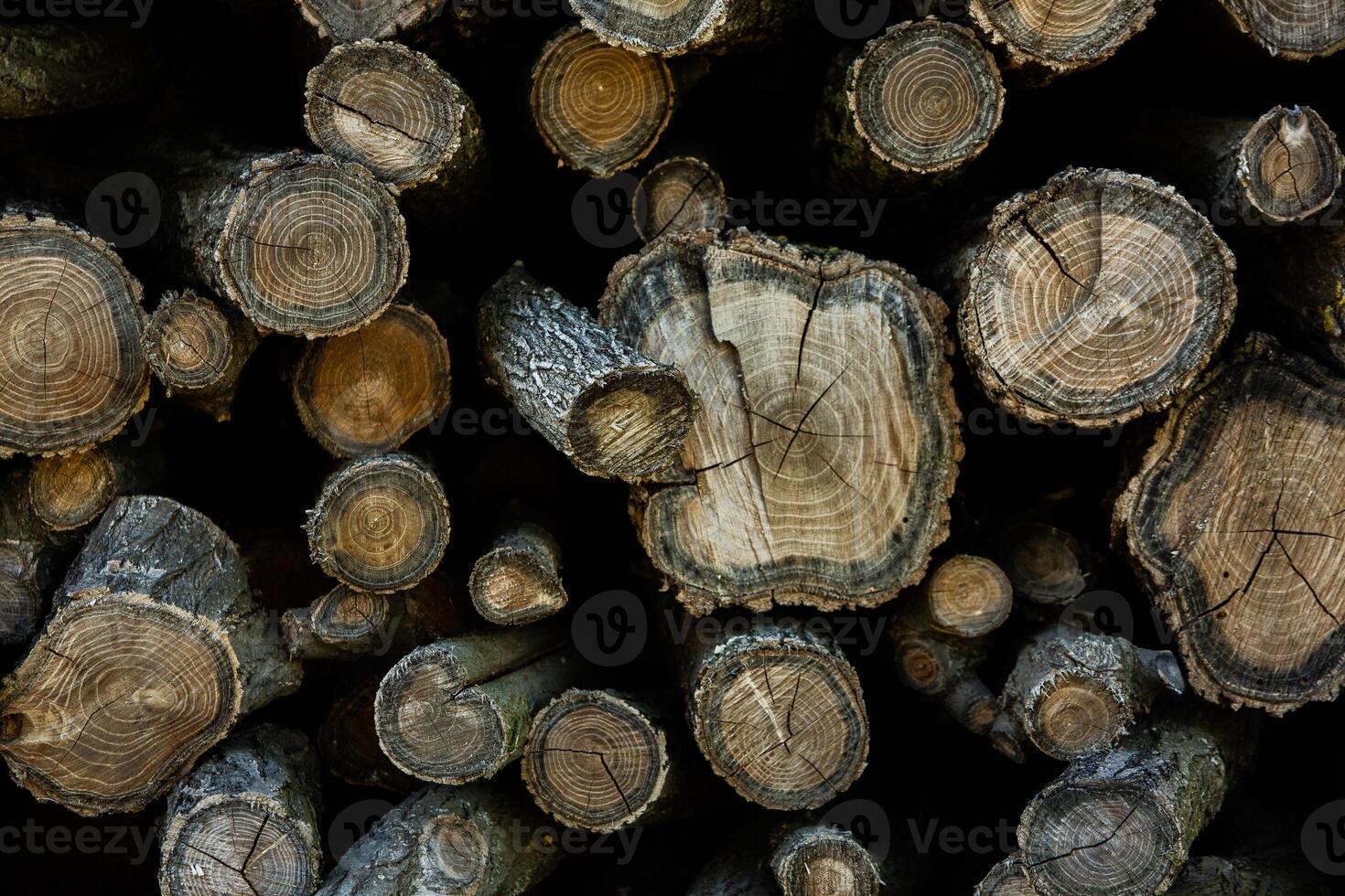 Wooden logs in the forest as a background. Firewood stacked in a pile. photo