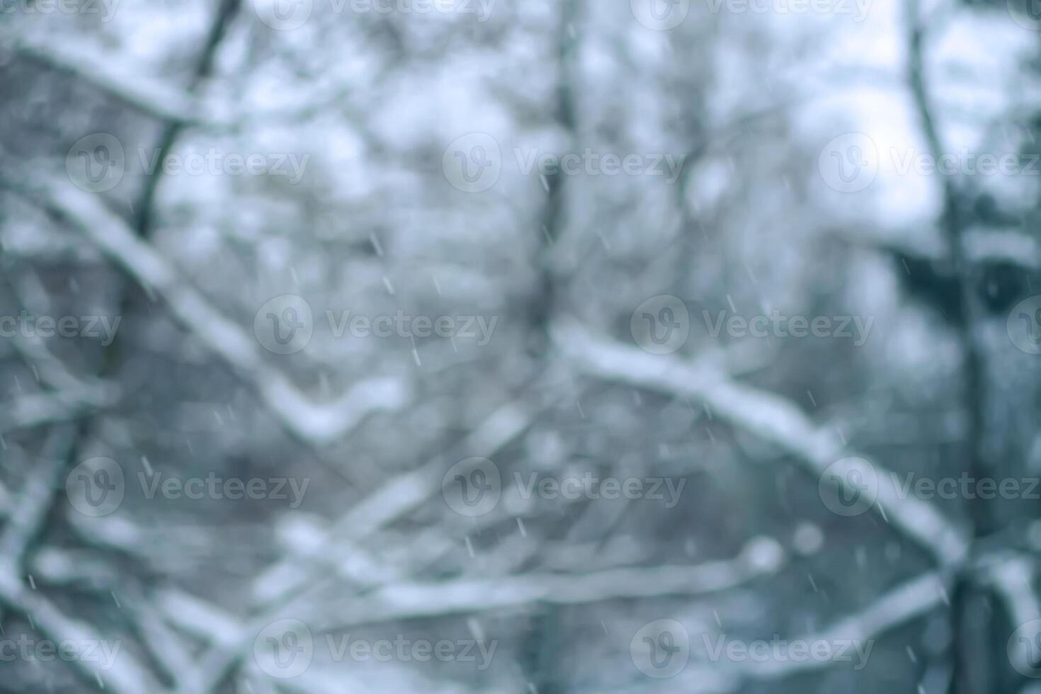 Winter nature blurred snowfall background. photo