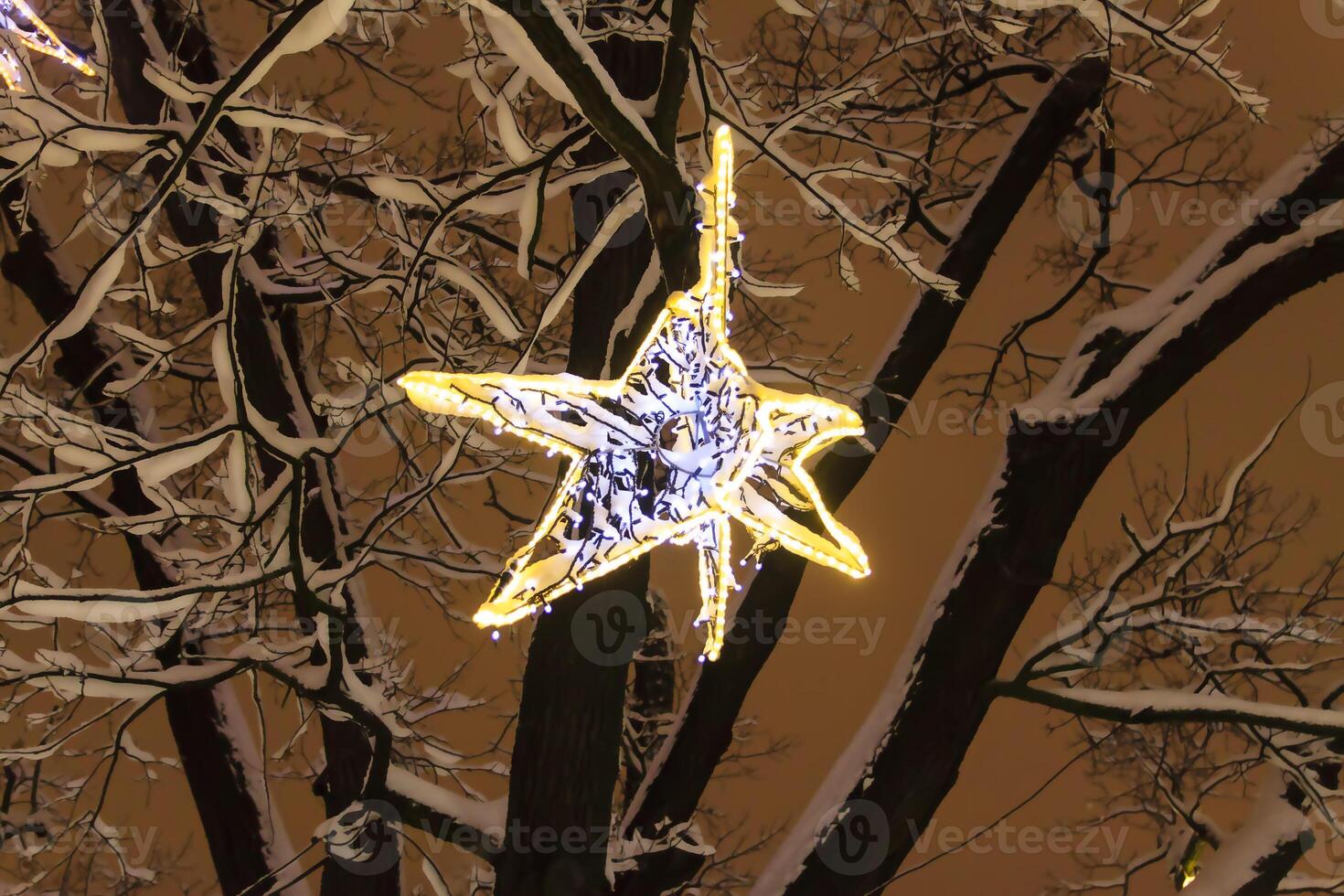 Decorated trees in an urban park in Riga. Latvia. Winter season in the city. photo