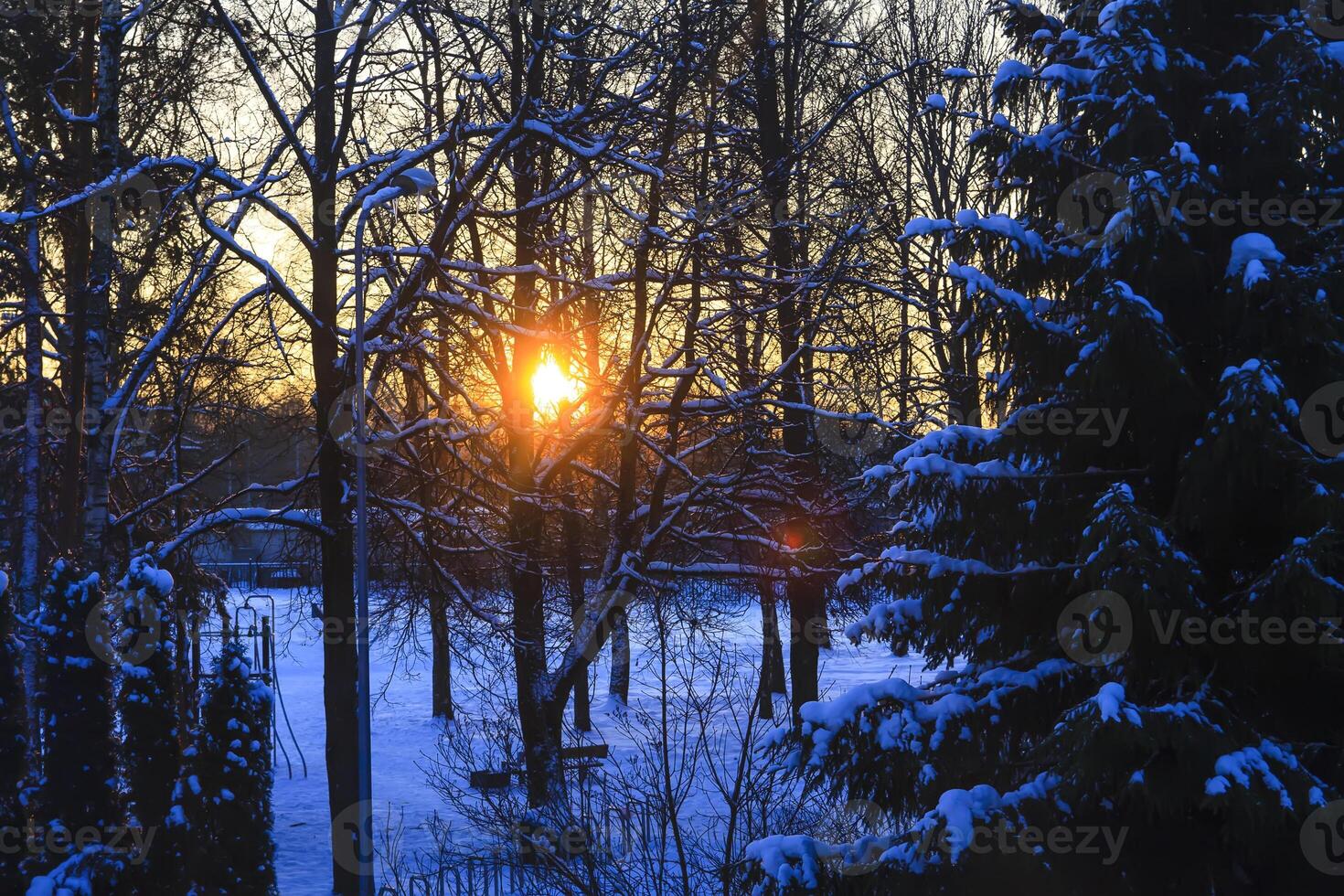 Snowy winter park during sunset. photo