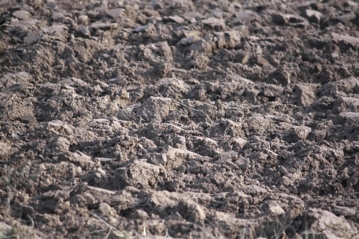 Soil for cultivation. Ploughed field. photo