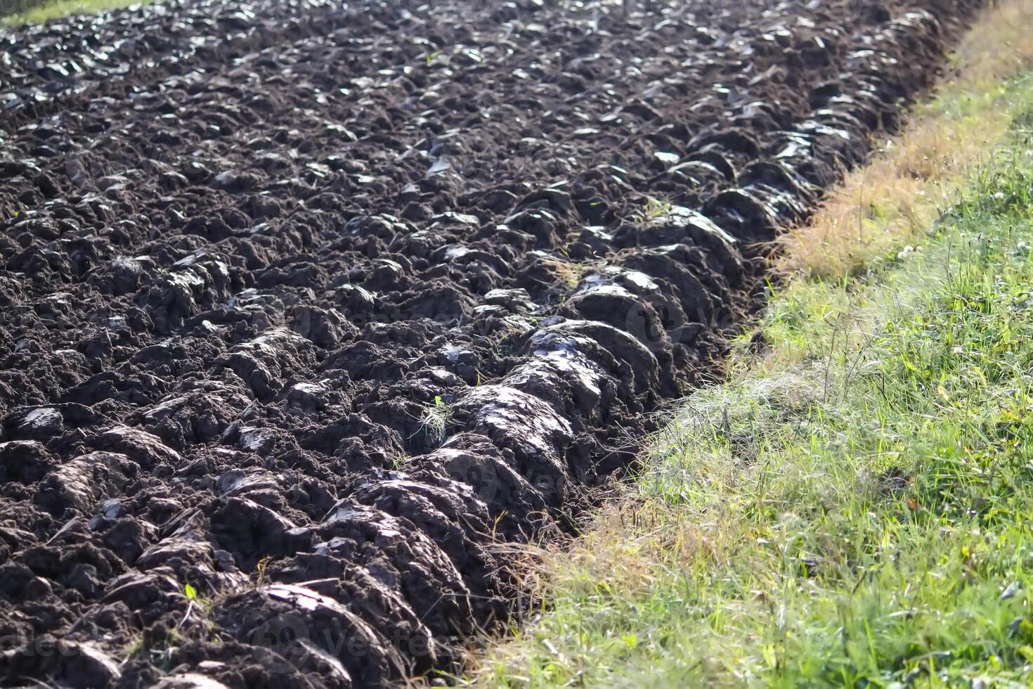 Soil for cultivation. Ploughed field. photo