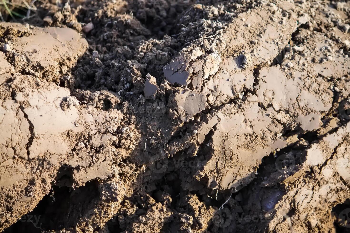 Soil for cultivation. Ploughed field. photo