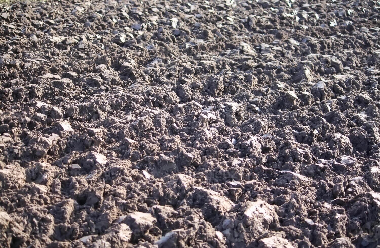 Soil for cultivation. Ploughed field. photo