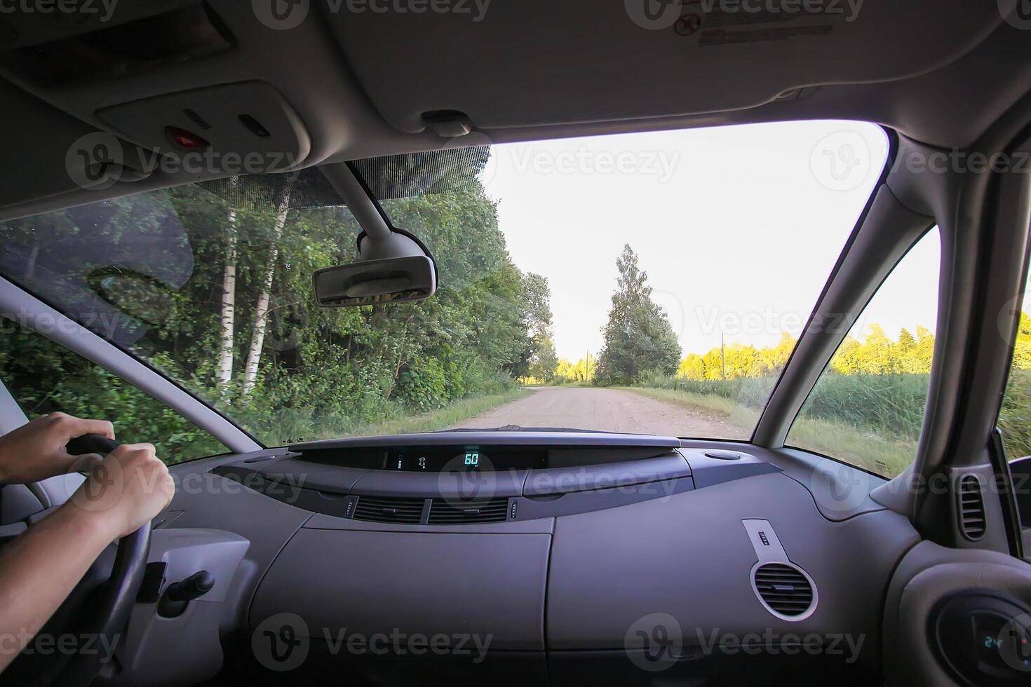 View of forest road through car glass. photo