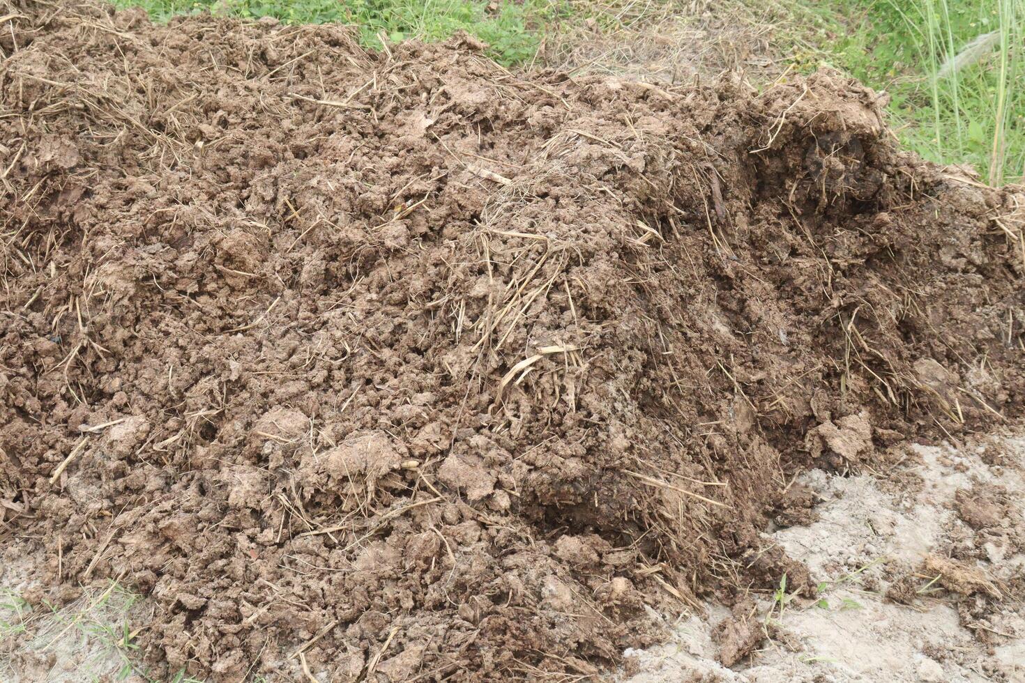 Heap of compost fertilizer on field photo