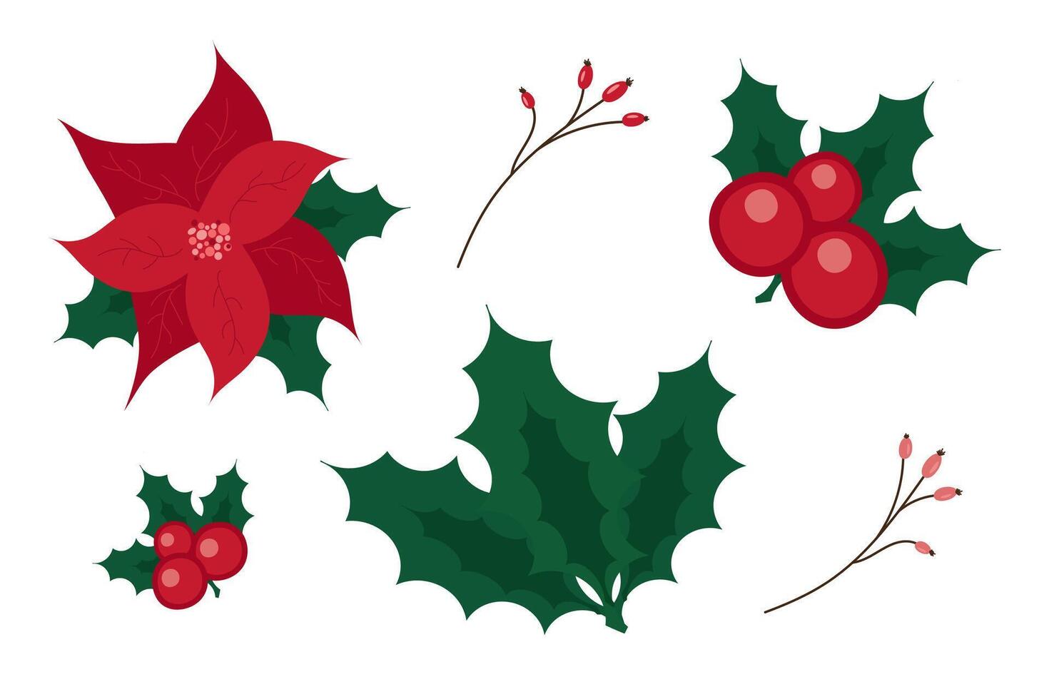 Hand painted Christmas floral elements set. Flat winter botanical illustration of , red poinsettia, berries, branches and leaves. Holiday objects isolated on white background vector