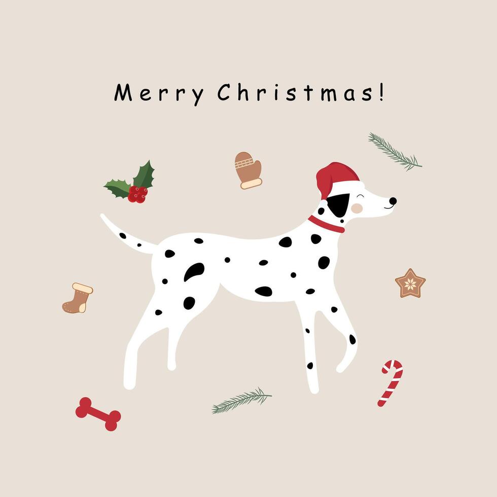 Christmas Dalmatian. Christmas card with Dalmatian. graphics vector
